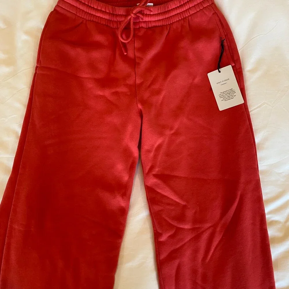 Aritzia Cozy Sweatfleece Boyfriend Wide Sweatpant - Picture 3 of 5